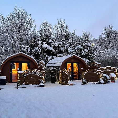 Conifer Cabins 威廉堡 外观 照片