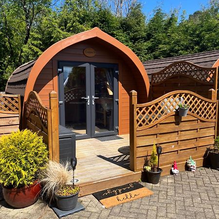 Conifer Cabins 威廉堡 外观 照片