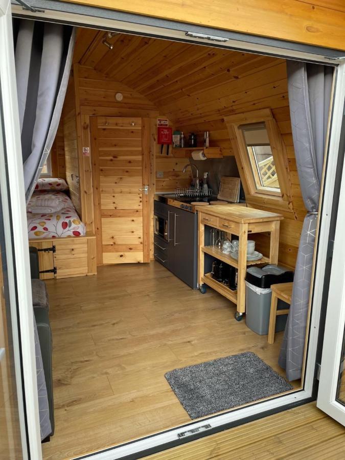 Conifer Cabins 威廉堡 外观 照片