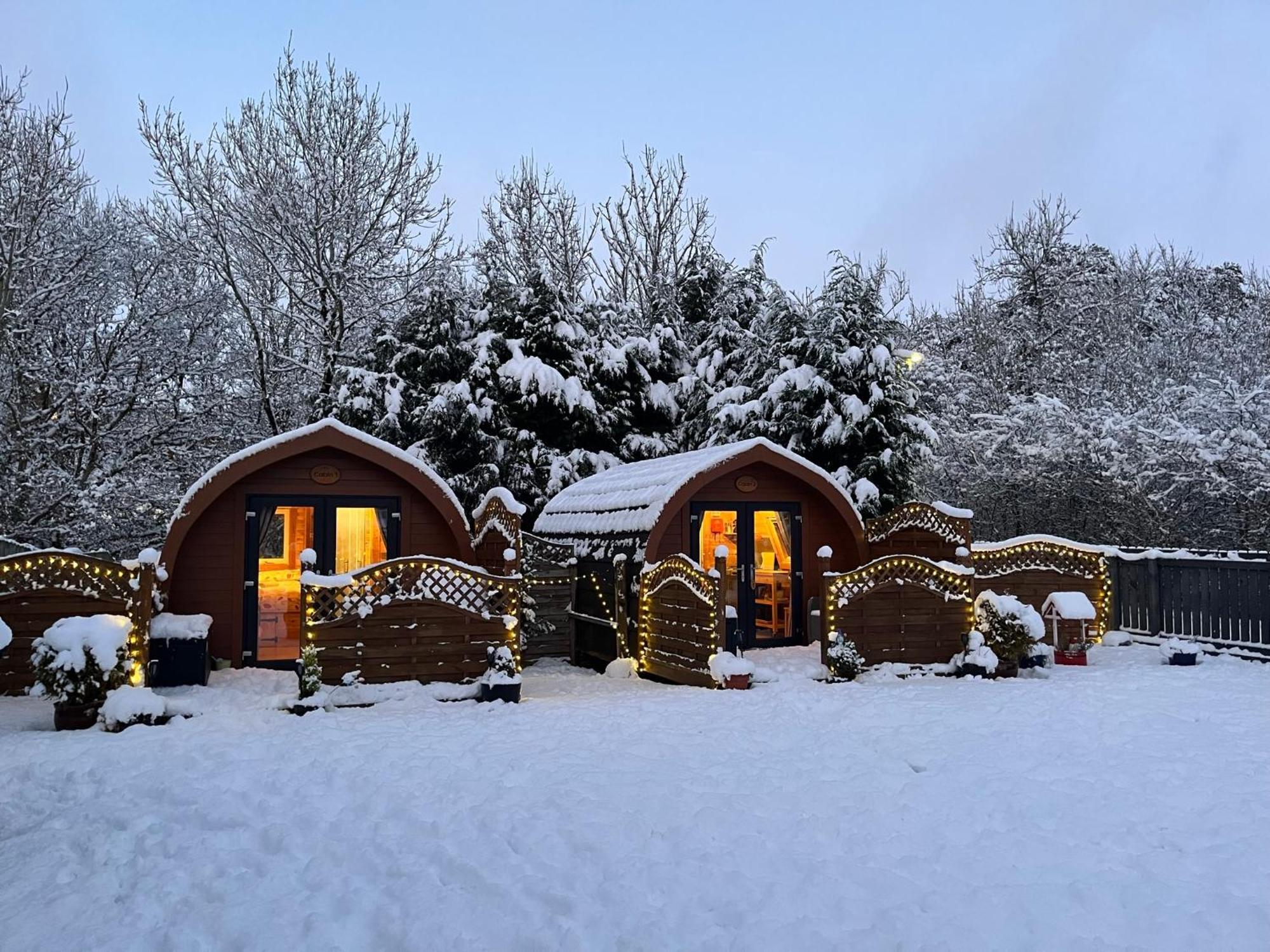 Conifer Cabins 威廉堡 外观 照片