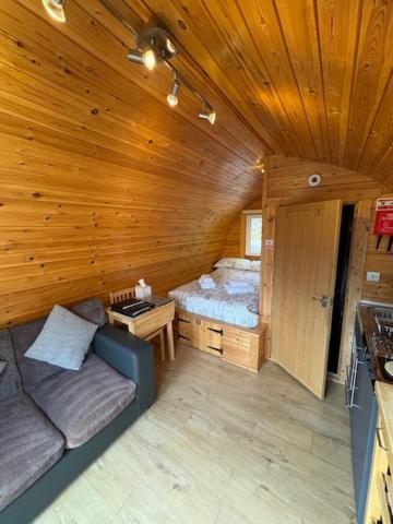 Conifer Cabins 威廉堡 外观 照片